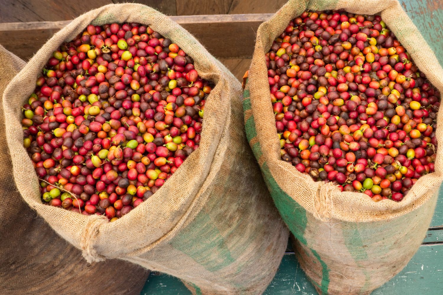 dia mundial do café: 5 curiosidades do brasil no mercado global