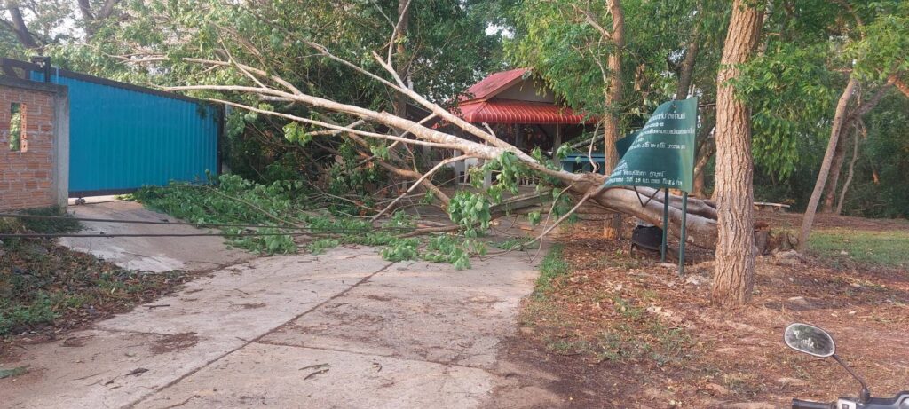 พายุฤดูร้อนถล่ม ภูซางอ่วมรอบ 2 บ้านเรือนเสียหายยับกว่า 300 หลังคา ปลัดอำเภอสั่งช่วยเหลือด่วน
