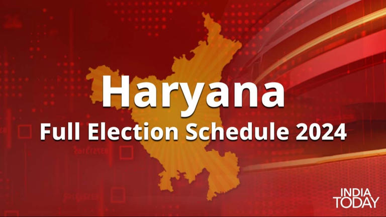 Haryana Lok Sabha Election 2024 Voting For All 10 Seats In Single Phase 4892