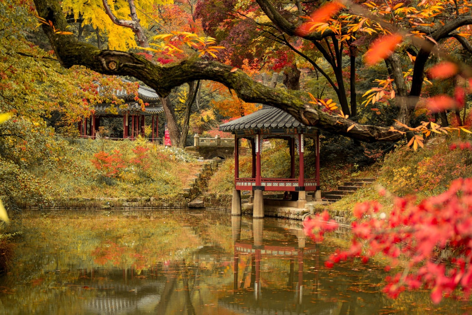 <p class="wp-caption-text">Image Credit: Shutterstock / HAEWON JANG</p>  <p><span>Changdeokgung Palace, a UNESCO World Heritage site, is renowned for its harmonious blend of traditional Korean architecture and natural environment. The palace’s rear garden, Huwon (Secret Garden), is a masterpiece of Korean garden design, featuring a beautiful array of pavilions, ponds, and landscaped lawns set against the backdrop of the city’s modern skyline. This palace complex offers a serene retreat from the urban hustle and bustle, allowing visitors to step back in time and enjoy the tranquility of its historical surroundings.</span></p>