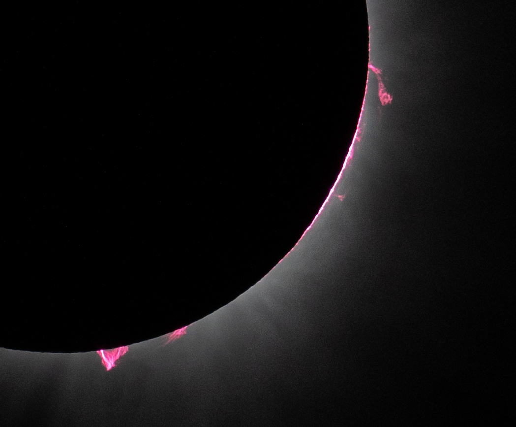 space photo of the week: nasa spots enormous pink 'flames' during total solar eclipse. what are they?