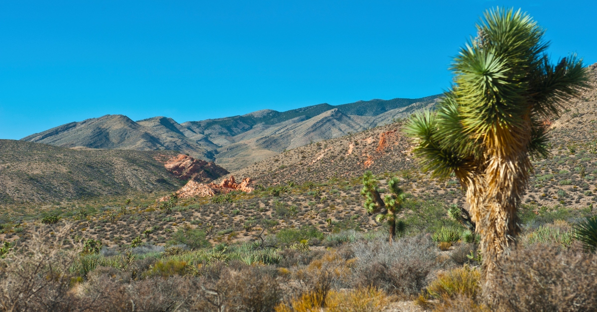 15 Top Southwest Cities for Retirees (We're in Love with Nevada Now)