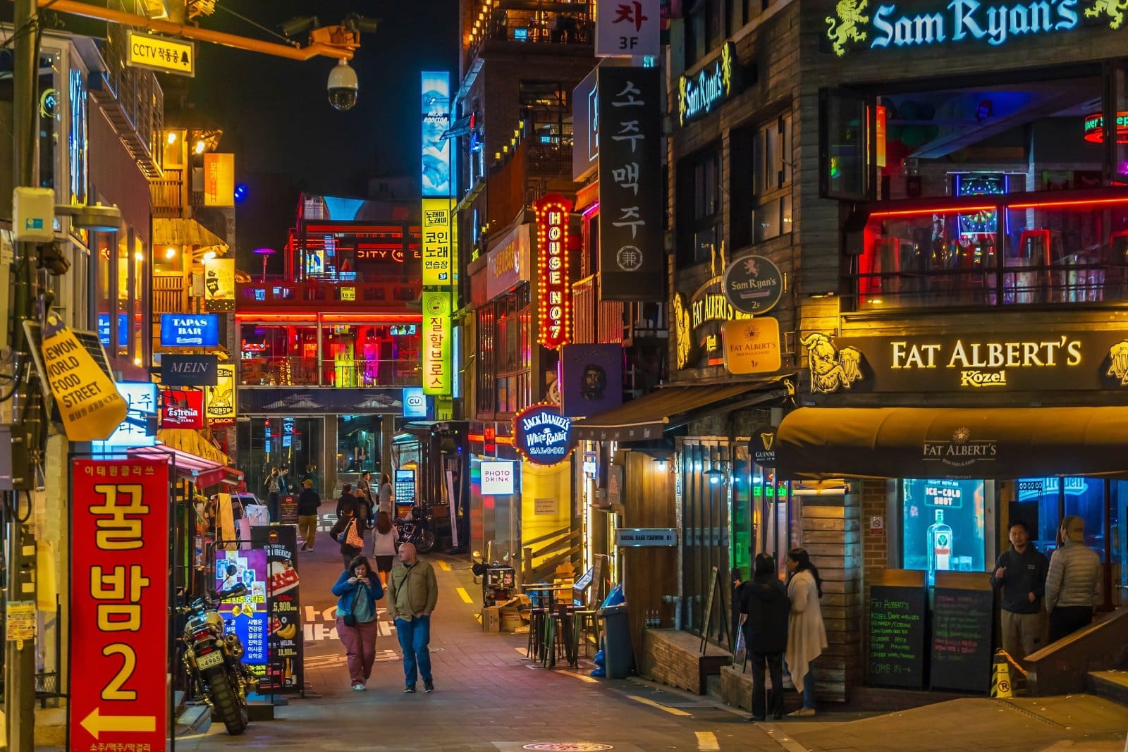 <p class="wp-caption-text">Image Credit: Shutterstock / f11photo</p>  <p><span>Itaewon is Seoul’s most international district, known for its diverse culture, cuisine, and nightlife. The neighborhood is a melting pot of cultures, offering various restaurants, bars, and clubs catering to locals and expats. Itaewon is also famous for its custom tailoring shops and international food market, making it a go-to destination for those looking to experience a different side of Seoul.</span></p>