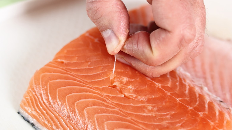11 facts you should know about canned salmon