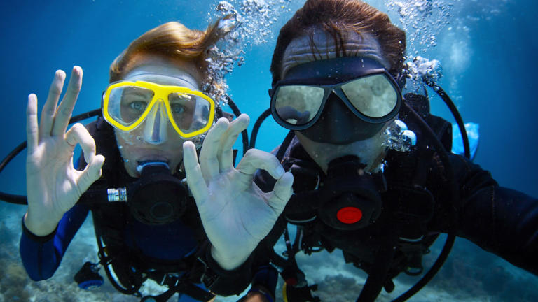 Why You Should Consider Getting Scuba Certified on a Liveaboard Boat