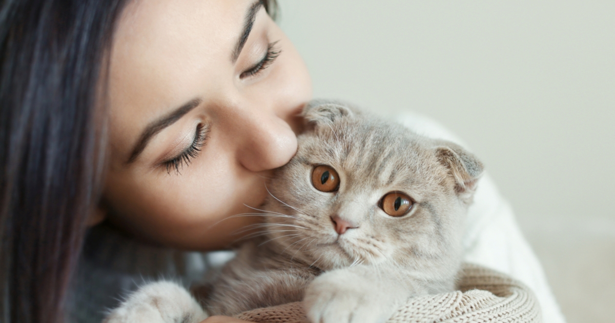 inte många vet detta: din katt har en förvånande effekt på ditt liv