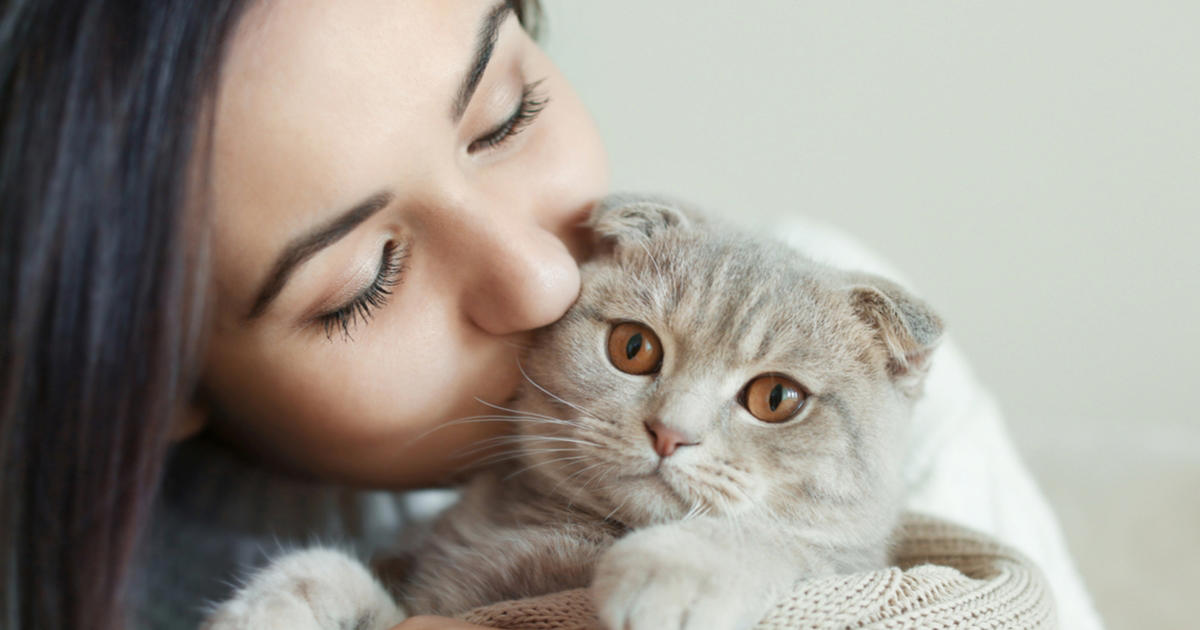 veterinären varnar för nya trenden: kan stressa din katt