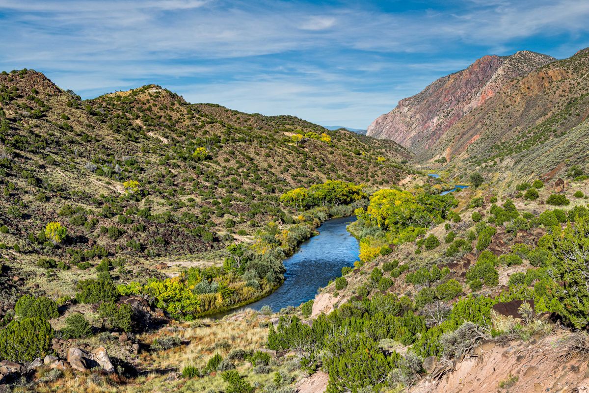 The Top 10 Best Places to Go Birdwatching in America