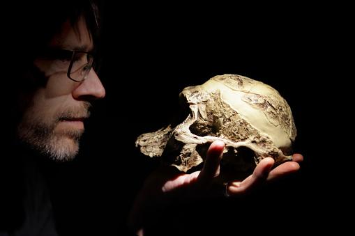 5 fatos curiosos sobre os australopithecus anamensis, os parentes mais próximos dos seres humanos