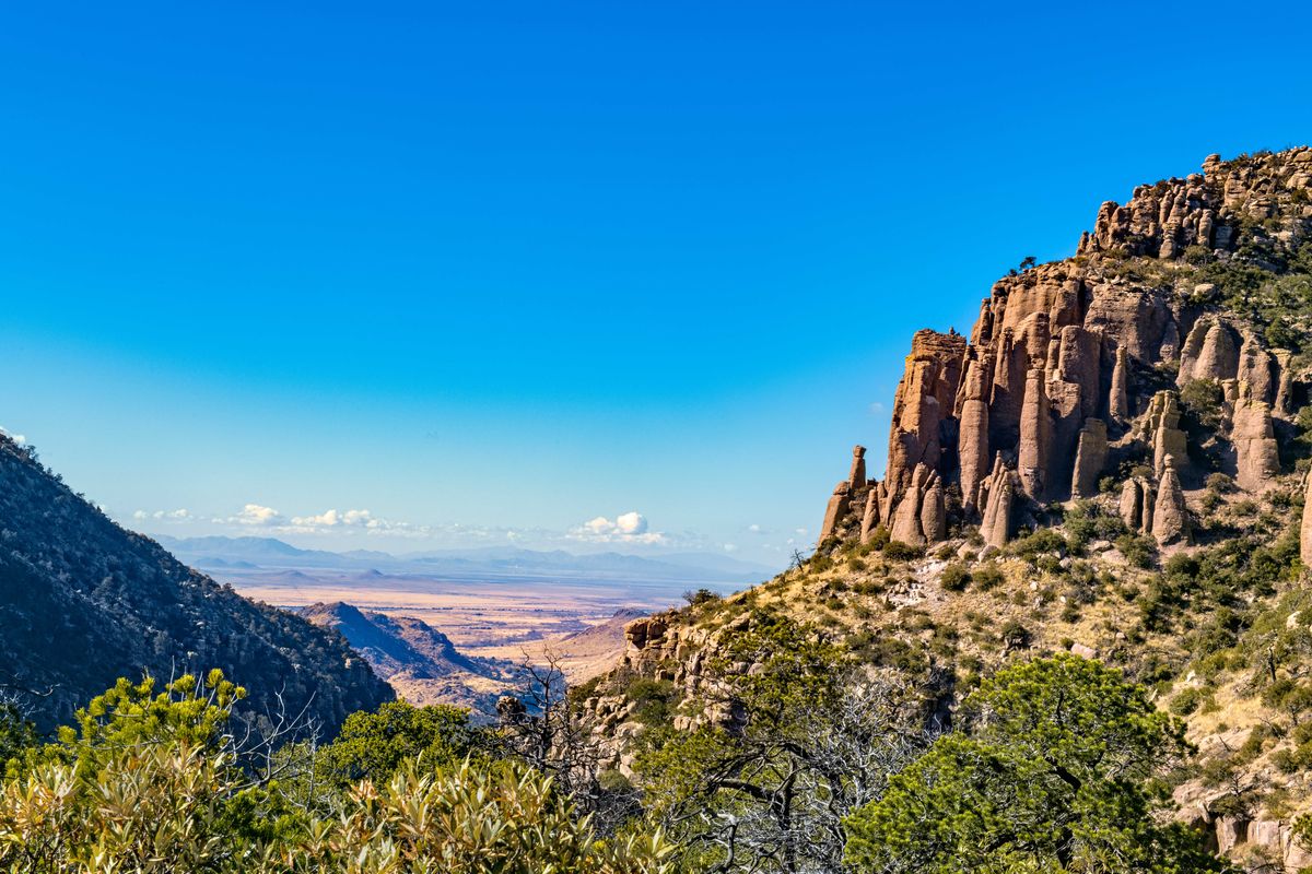 The Top 10 Best Places to Go Birdwatching in America