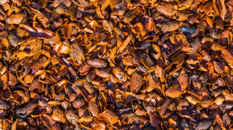 Should You Mulch Your Garden With Cocoa Hulls? What You Need To Know