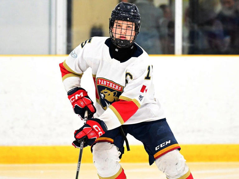 Four Players With Area Ties Taken In Ohl Draft