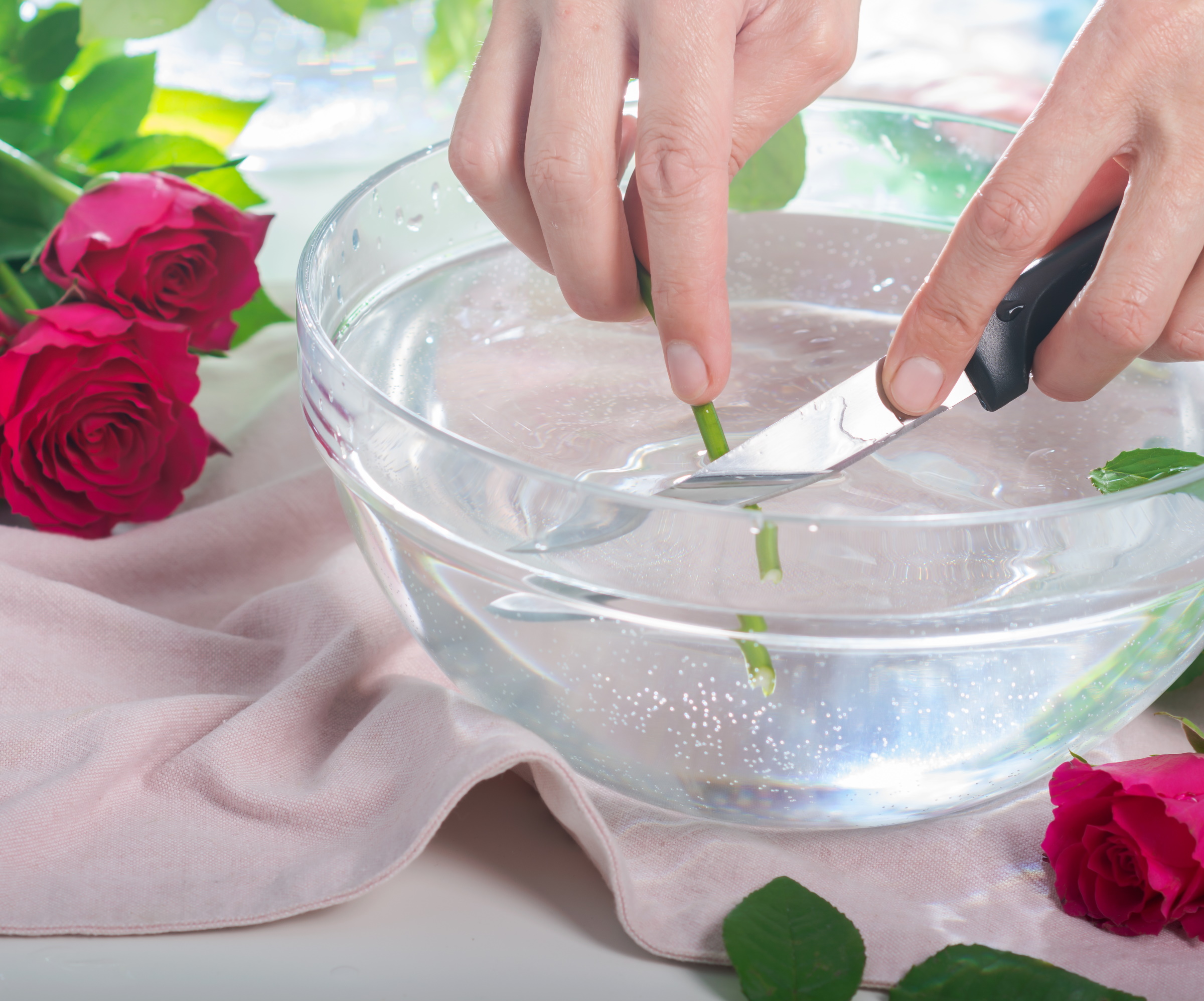 amazon, have you tried putting rose cuttings in water? experts say it's an easy way to multiply your flowers