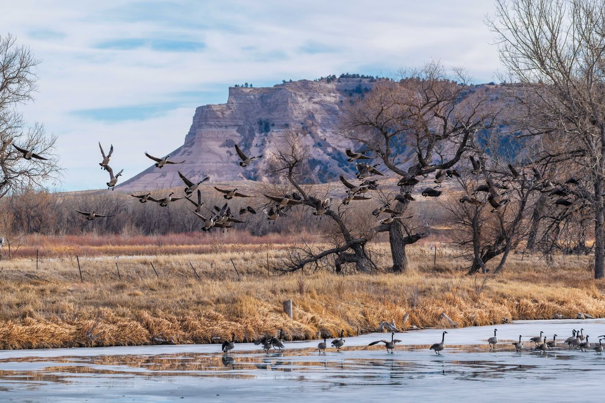 The Top 10 Best Places to Go Birdwatching in America