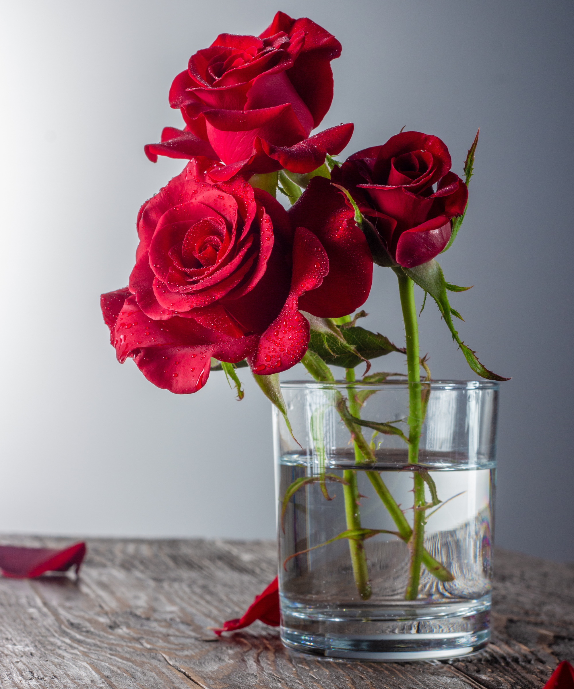 amazon, have you tried putting rose cuttings in water? experts say it's an easy way to multiply your flowers
