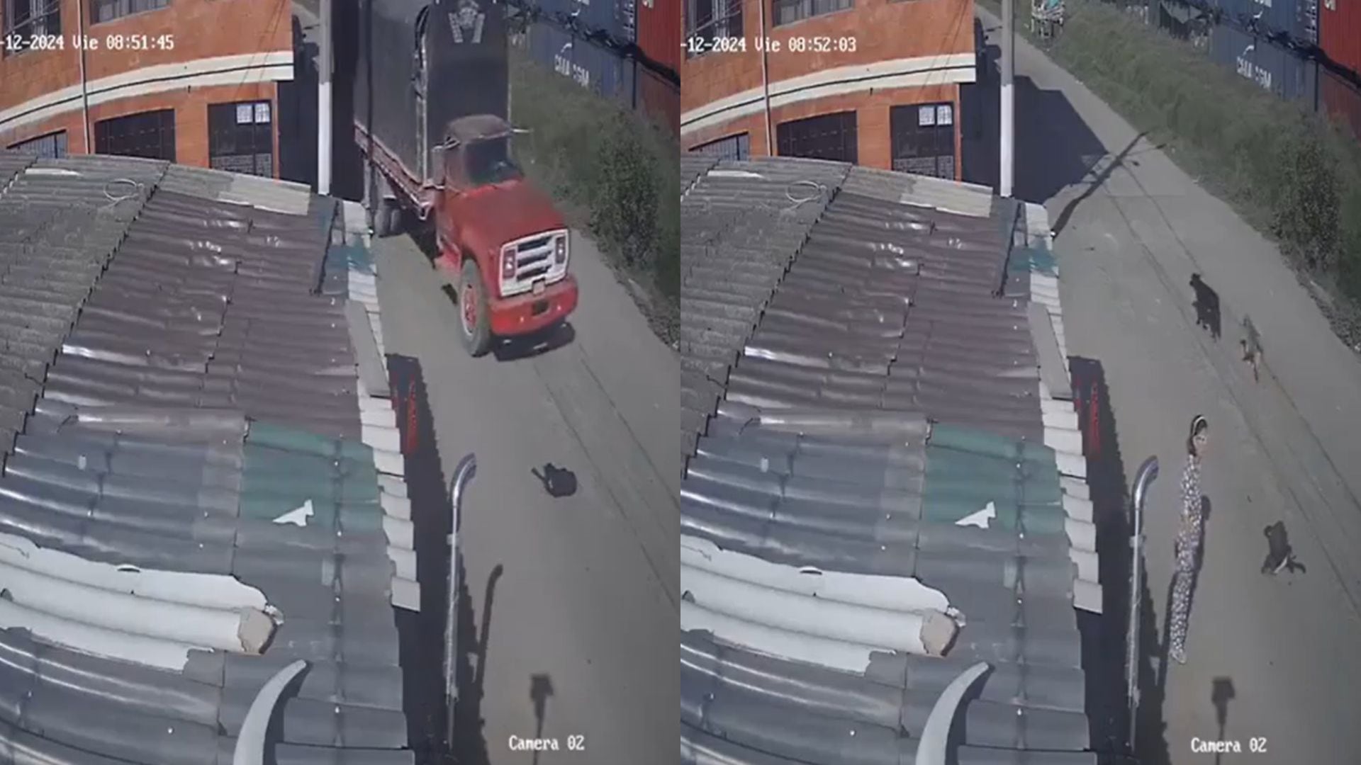 video: indignación por un conductor que le pasa por encima a un perro con su camión