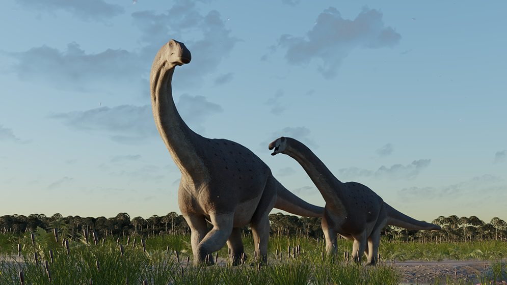 tytanozaur z patagonii: odkrycie nowego gatunku