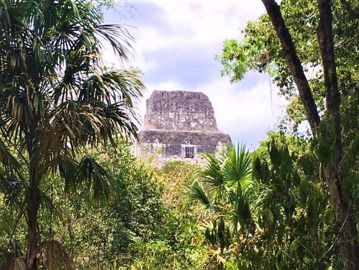 Wondering what animals in Tikal National Park you may see on your next visit? You’ve come to the right place! I’ve been to Guatemala with my family several times, including a visit to Tikal. Because one of our favorite things to do when we travel is see wild animals, I made an exhaustive list for...