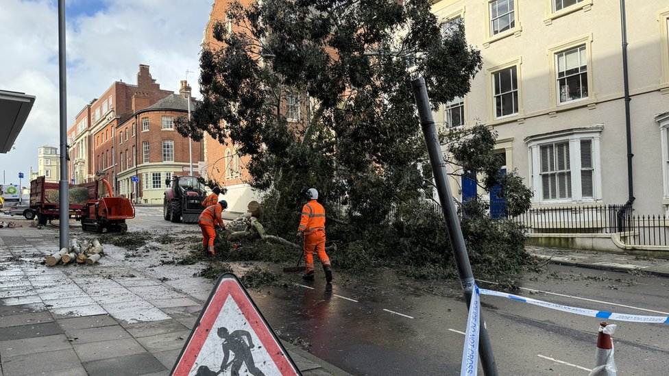 trees and roof tiles fall as strong winds hit region