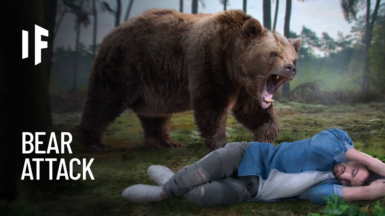 Could You Survive A Bear Attack?
