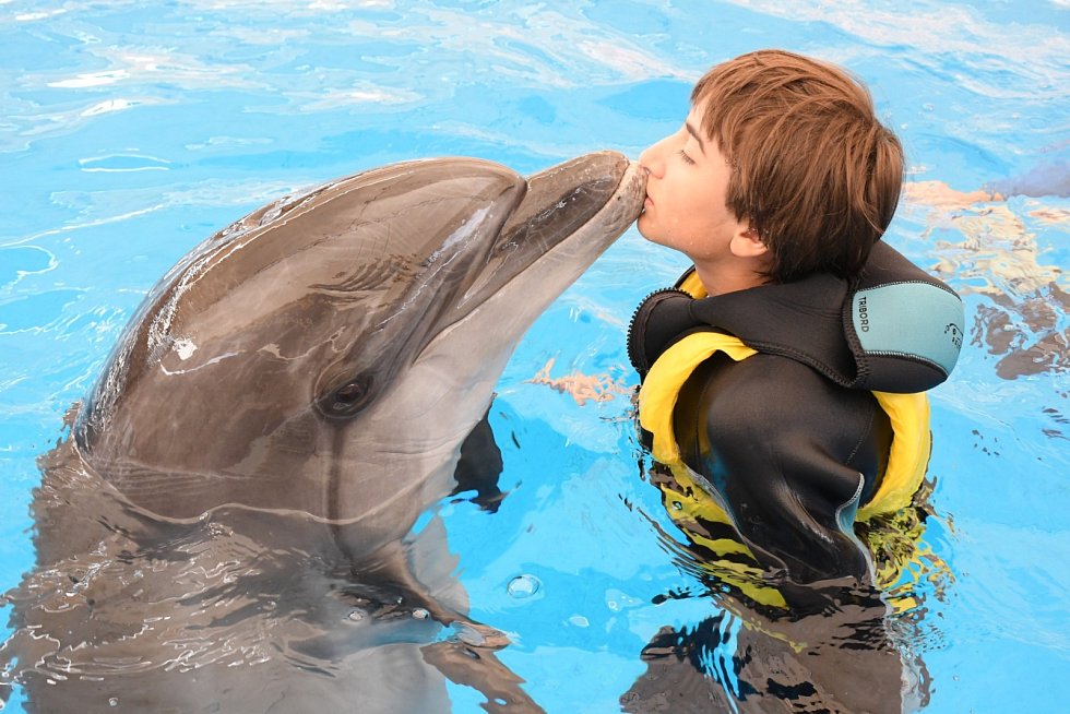 delfíni pomáhají dětem s autismem či mozkovou obrnou. jsou i terapeuty dospělých