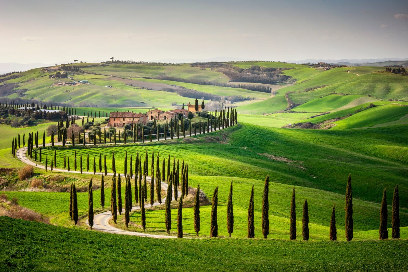 <p class="wp-caption-text">Image Credit: Shutterstock / Massimo Santi</p>  <p><span>With its rolling hills, vineyards, and timeless art cities like Florence and Siena, Tuscany is a haven for senior travelers seeking a blend of cultural enrichment and relaxation. The region’s slow pace of life, world-renowned cuisine, and easy accessibility make it an ideal destination. Explore the Uffizi Gallery, take a wine-tasting tour in Chianti, or simply enjoy the serene beauty of the Tuscan countryside. Accommodations range from luxurious villas to cozy farmhouses, ensuring comfort throughout your stay.</span></p>