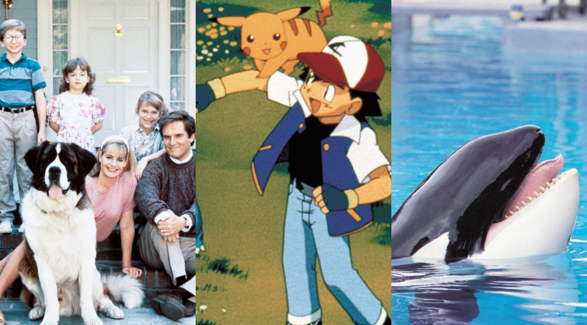 From Dogs To Dragons: The Best Pets In Pop Culture