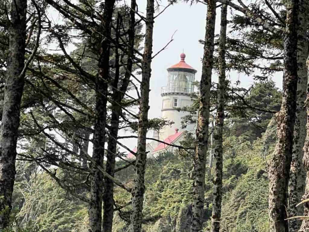 <p><strong>Year</strong> lit: 1894</p><p><strong>Height:</strong> 56 feet</p><p><span>Continuing south on Highway 101 to the Southern Oregon Coast, you will encounter Heceta Head Lighthouse at MilePost 178.3 in north </span><a class="editor-rtfLink" href="https://www.mileswithmcconkey.com/10-outstanding-restaurants-in-florence-oregon/" rel="noopener"><span>Florence</span></a><span>. A day-use parking permit is required, but </span><a class="editor-rtfLink" href="https://stateparks.oregon.gov/index.cfm?do=park.profile&parkId=86" rel="nofollow noopener"><span>Heceta Head Lighthouse State Scenic Viewpoint</span></a><span> offers much more than a tower, including the picturesque Cape Creek Bridge, a sandy beach with tide pools and caves, and hiking trails.</span></p><p><span>While France makes most Fresnel lenses, historians believe Heceta Head's lens is the only one on the West Coast made in England. Its signal flashes white every ten seconds.</span></p><p><span>Heceta Head Lighthouse is open year-round, weather and staff permitting. Regular hours for self-guided tours of the outside and the ground floor are 11 am to 3 pm in summer and 11 am to 2 pm in winter. If you are a lighthouse enthusiast, consider staying in the assistant lightkeeper's house, now a bed and breakfast. </span></p>