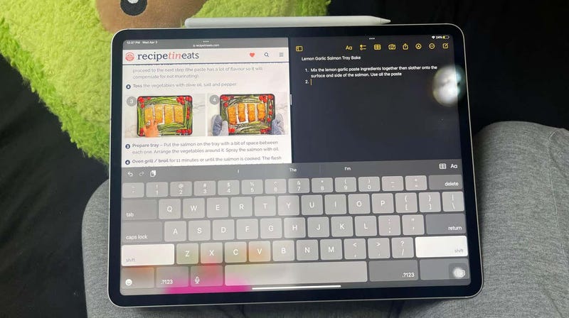 five things new ipad owners should know