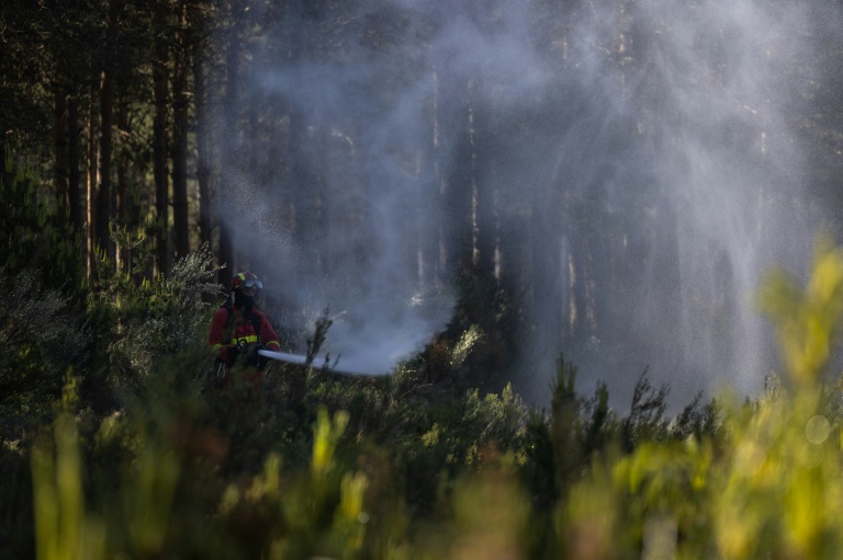 temperaturas inusualmente altas atizan un incendio forestal en el este de españa