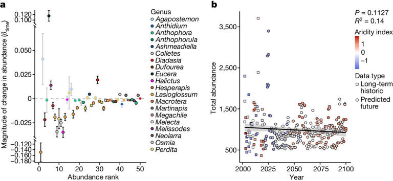 Heat and desiccation tolerances predict bee abundance under climate change