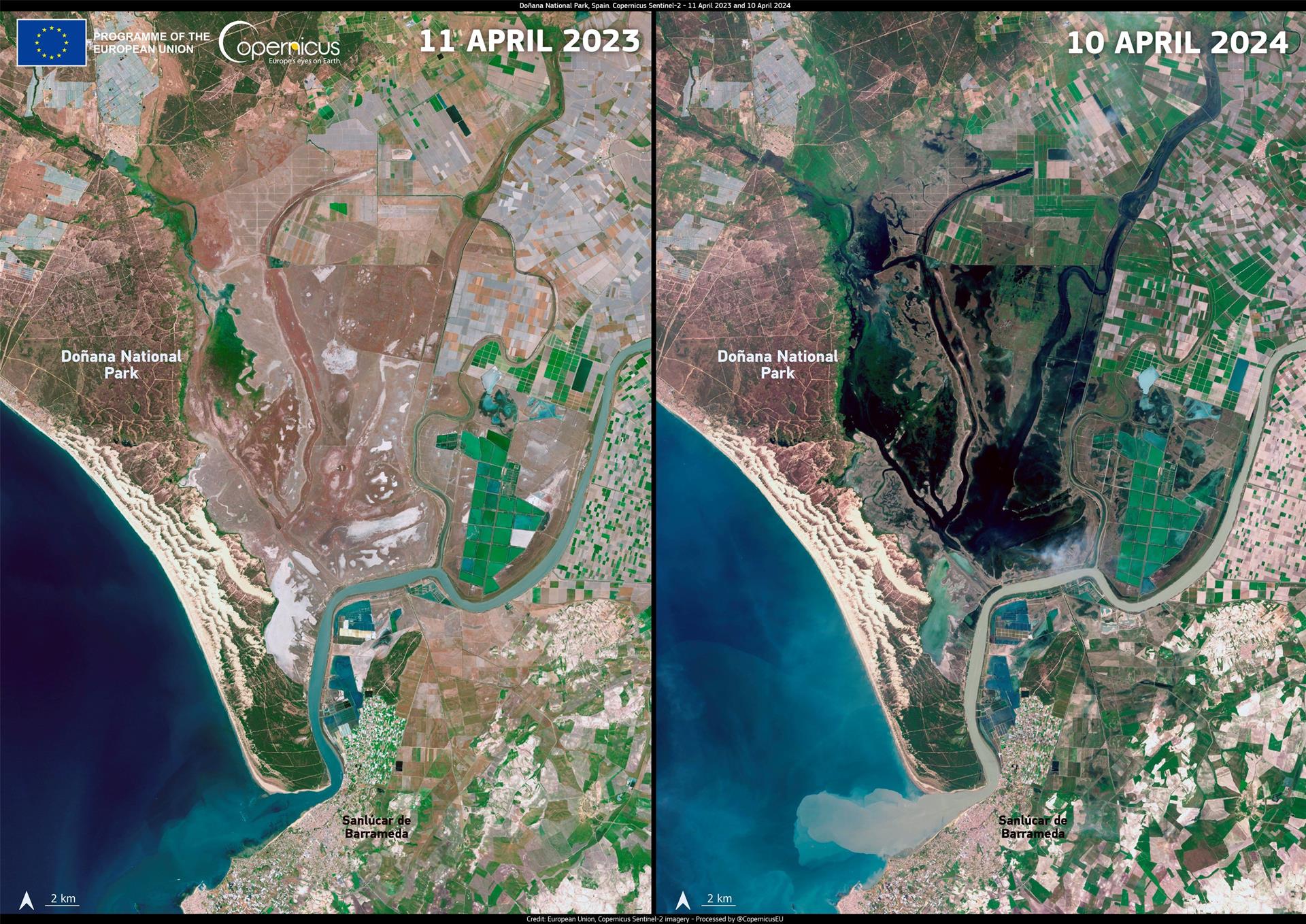 una imagen de doñana desde el espacio confirma el impacto contra la sequía