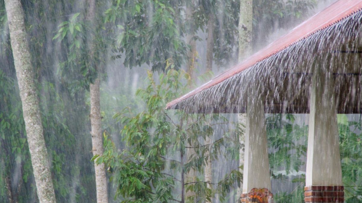 weather updates: imd anticipates above-normal monsoon rainfall in india this year; check forecast