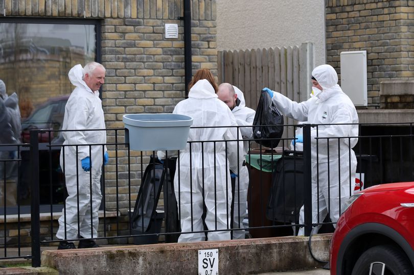 victim 'beaten to death with hammer and dumped in dog shed' as gardai launch kildare murder probe