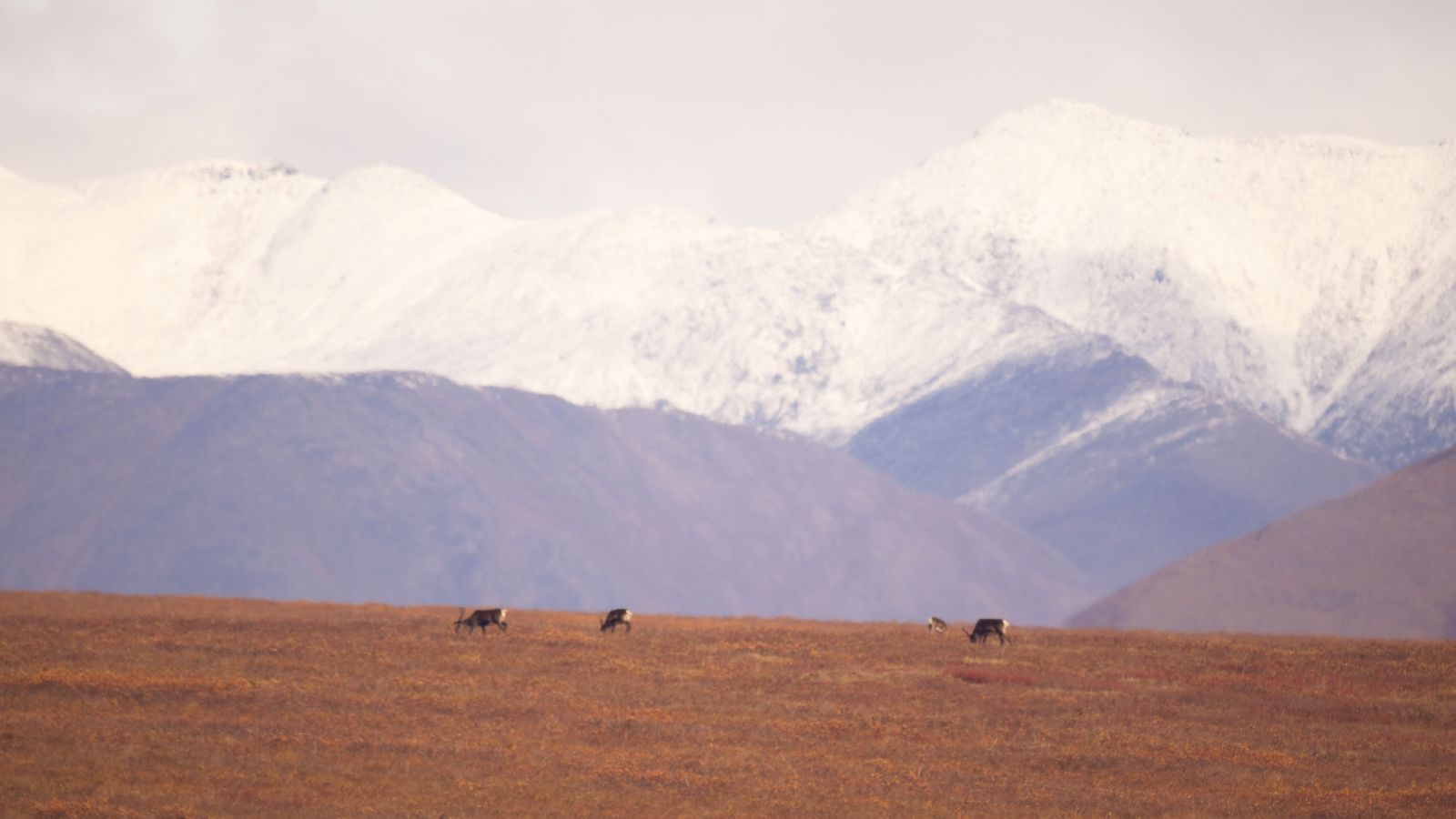 Hardly Nobody Visits These 17 U.S. National Parks Despite Their ...