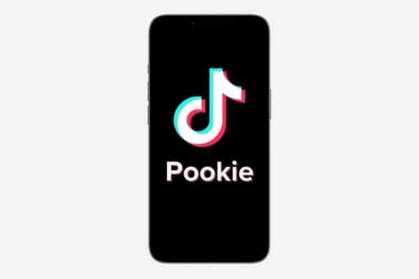 What Does ‘Pookie’ Mean? TikToks New Favourite Word Explained