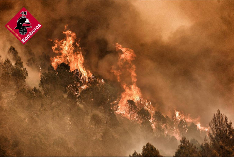 A wildfire is raging in Spain following scorching temperatures (Picture: Bomberos)
