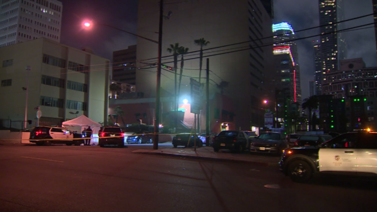 Homeless woman found shot and killed in Los Angeles, LAPD investigating