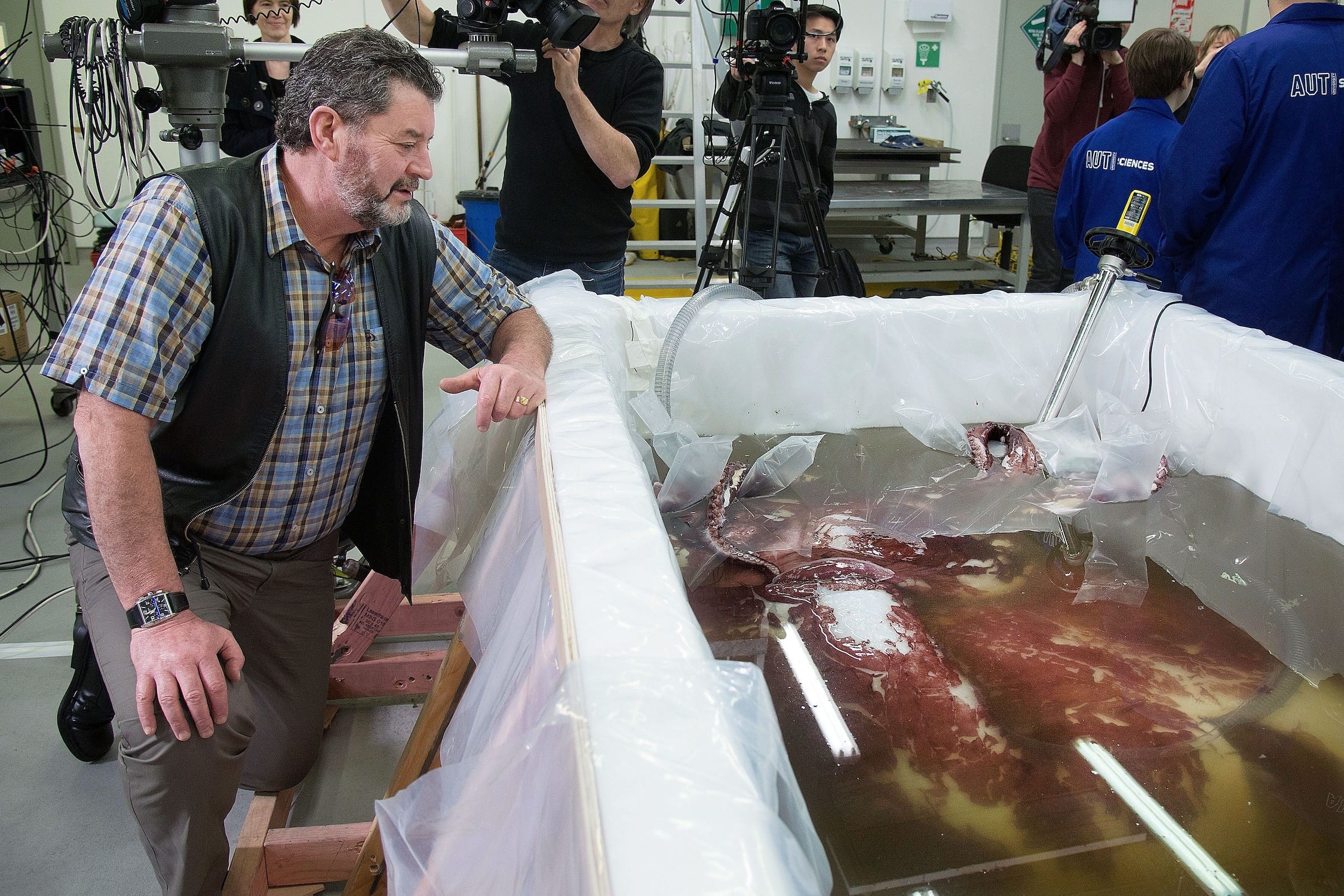 microsoft, scientists went on a hunt for the elusive colossal squid — and brought cruise ship tourists with them