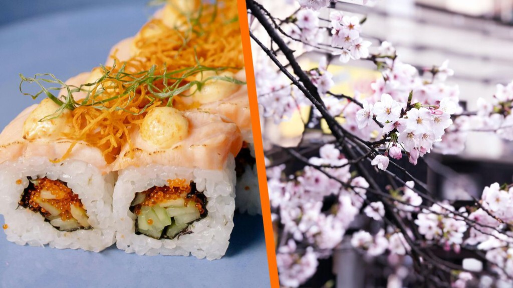 vive la cultura oriental en el festival japonés de primavera 2024: comida, música y más