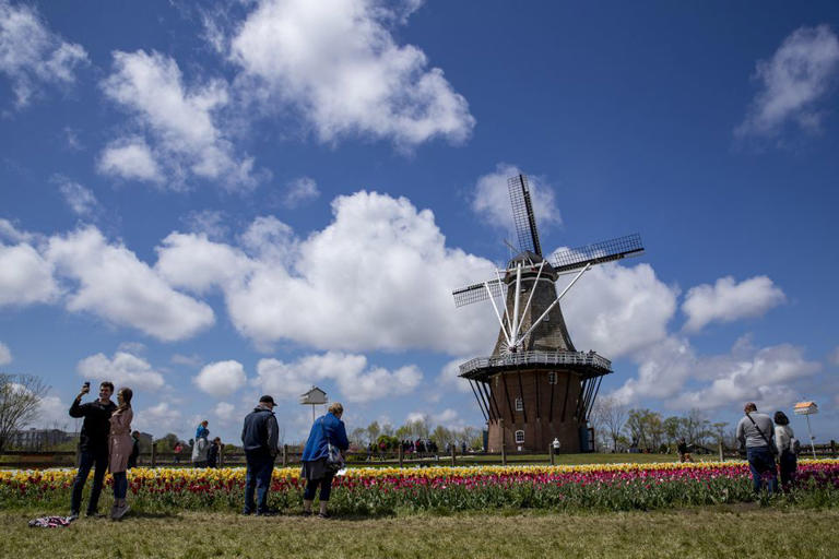 Crowds look at tulips during Tulip Time at Windmill Island in Holland on Friday, May 7, 2021. De Zwaan windmill can be seen in the background.