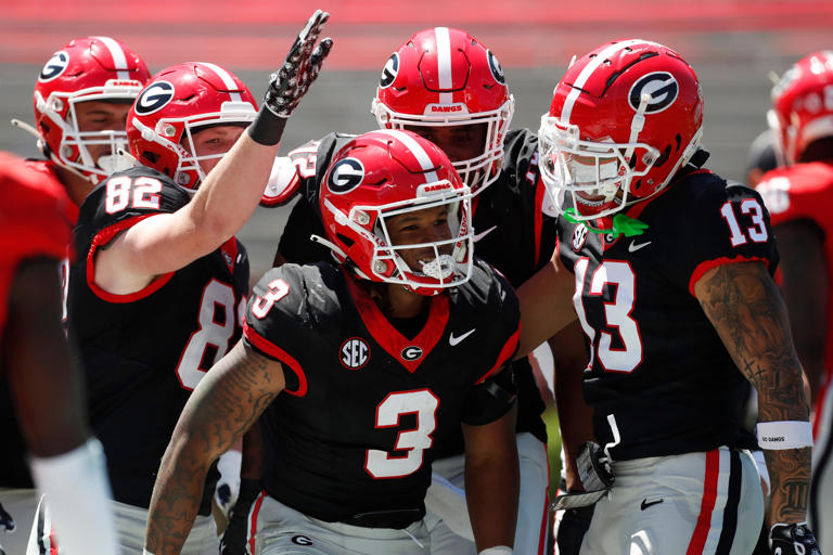 Georgia Bulldogs football WR plans to enter transfer portal