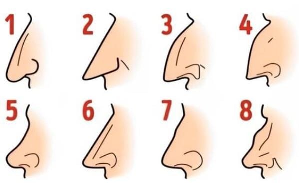 ¿cuál es la forma de tu nariz? la respuesta te ayudará a saber cuále son tus virtudes y defectos