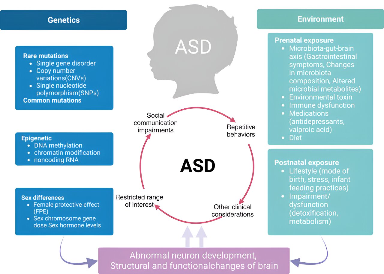 autism spectrum disorder: pathogenesis, biomarker, and intervention therapy