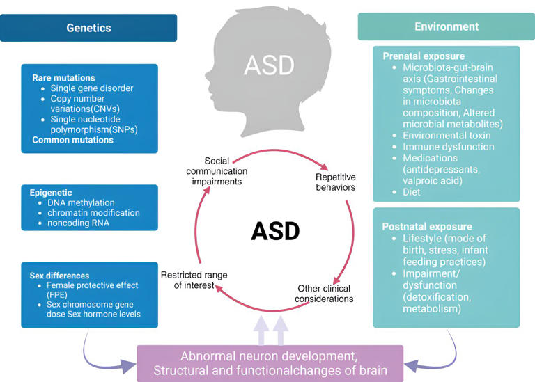 Autism spectrum disorder: Pathogenesis, biomarker, and intervention therapy