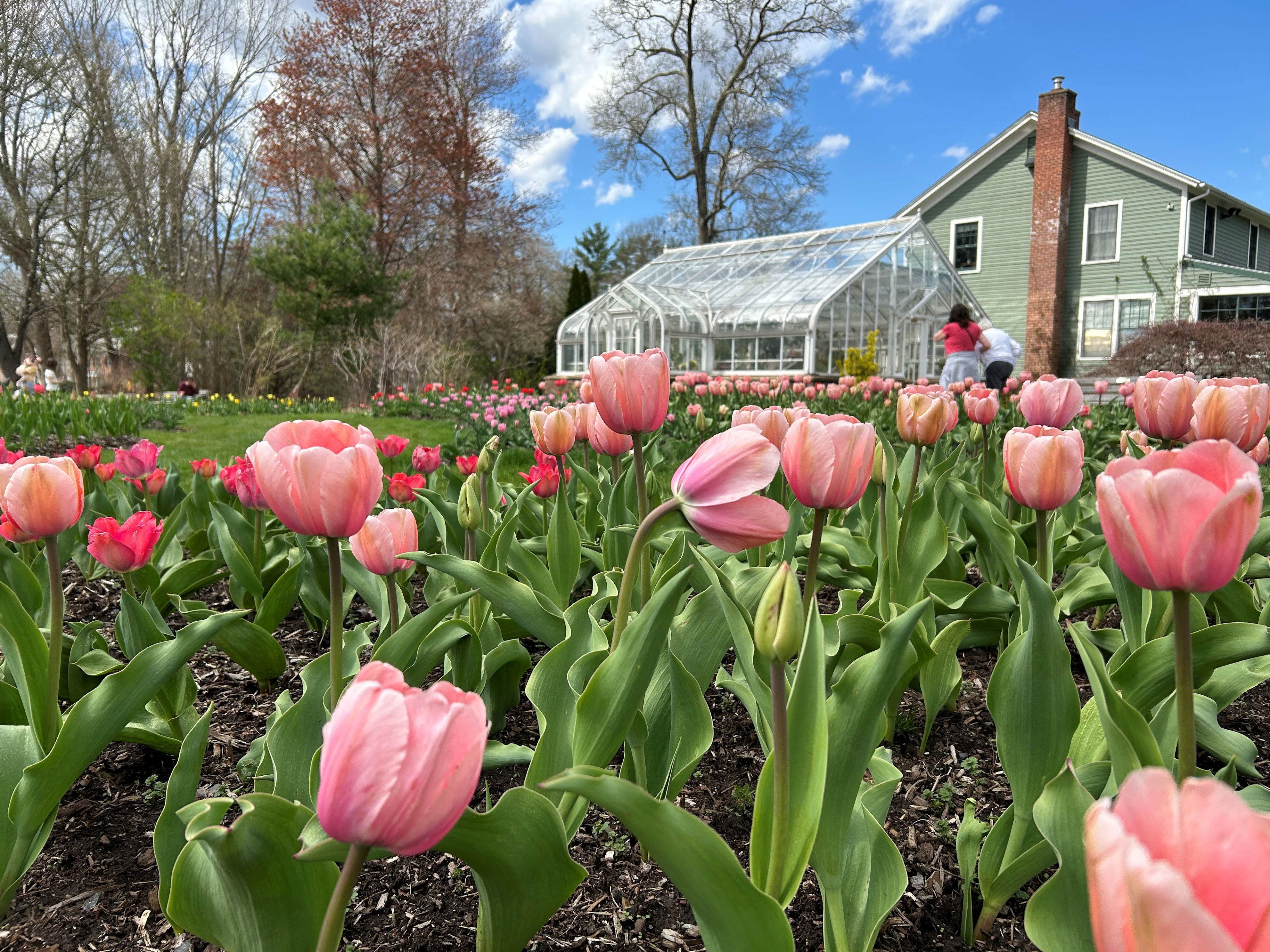 Sunny With High Temperatures In Low-70s On Monday