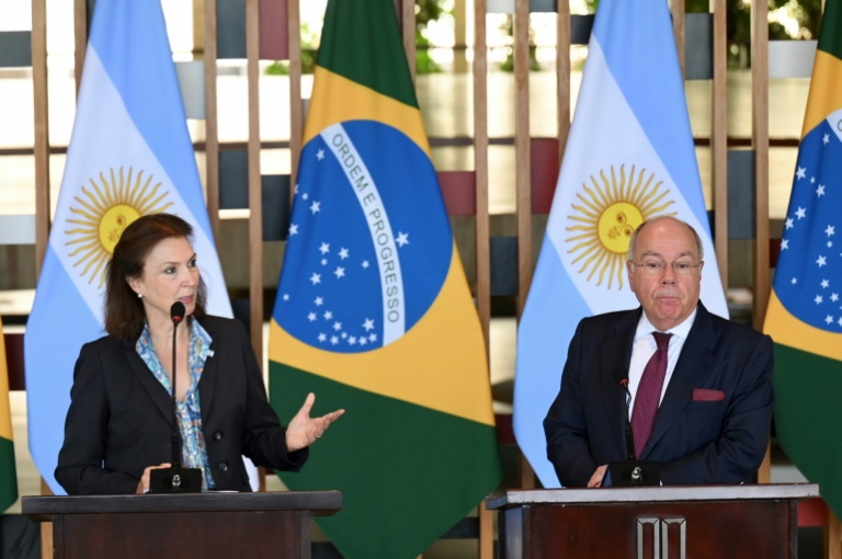 argentina 'jamais vai interferir' em assuntos do brasil, diz chanceler após apoio de milei a musk
