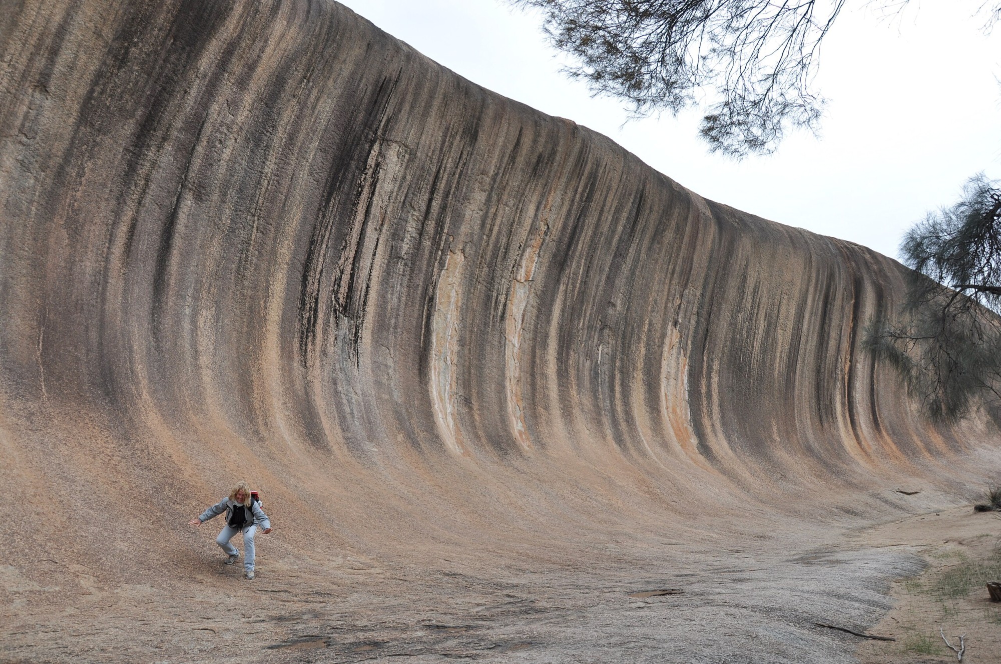 Explore Wave Rock: Geological Wonder Of Western Australia