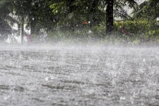 ¡cayó agua en el embalse san rafael y otras zonas de bogotá! las lluvias registradas podrían contribuir al abastecimiento
