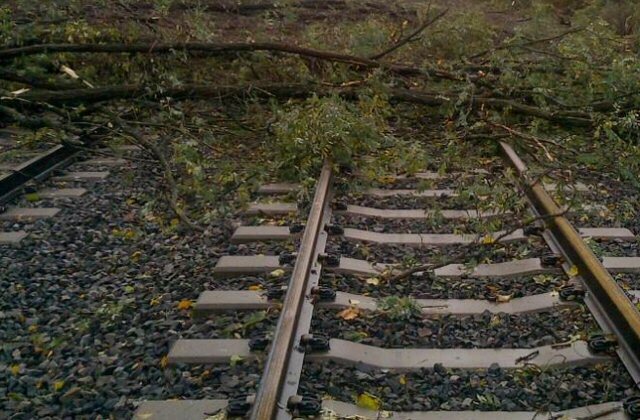 popadané stromy zastavily vlaky z prahy mezi čerčany a benešovem